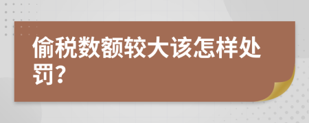 偷税数额较大该怎样处罚？