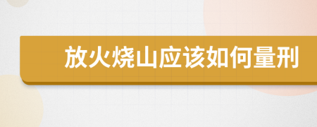 放火烧山应该如何量刑