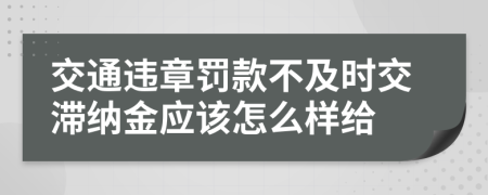 交通违章罚款不及时交滞纳金应该怎么样给