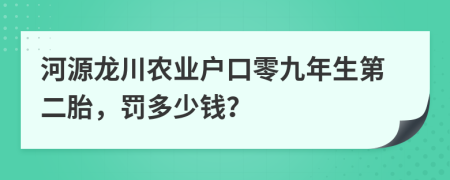 河源龙川农业户口零九年生第二胎，罚多少钱？