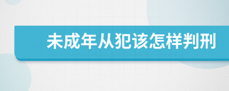 未成年从犯该怎样判刑