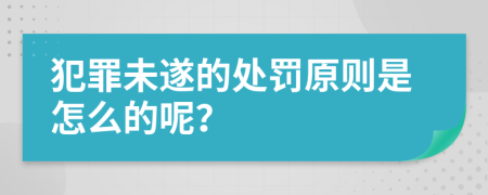 犯罪未遂的处罚原则是怎么的呢？