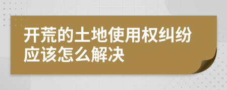 开荒的土地使用权纠纷应该怎么解决