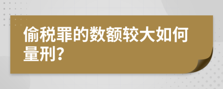 偷税罪的数额较大如何量刑？