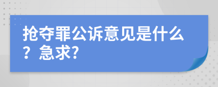 抢夺罪公诉意见是什么？急求?