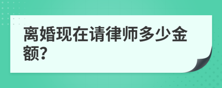 离婚现在请律师多少金额？