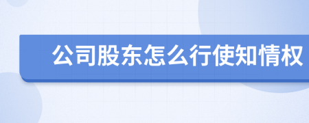 公司股东怎么行使知情权