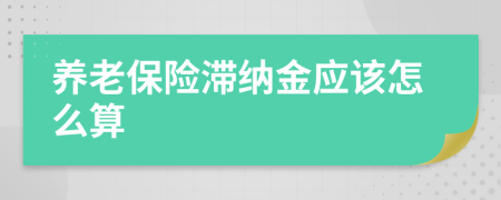 养老保险滞纳金应该怎么算