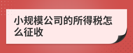 小规模公司的所得税怎么征收