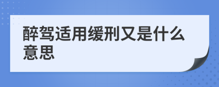 醉驾适用缓刑又是什么意思