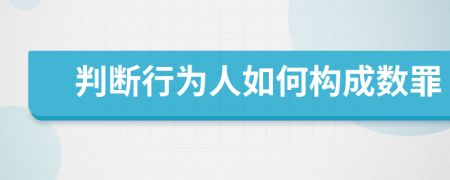 判断行为人如何构成数罪