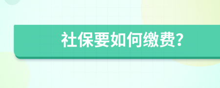 社保要如何缴费？