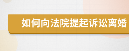 如何向法院提起诉讼离婚