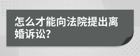 怎么才能向法院提出离婚诉讼？