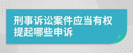 刑事诉讼案件应当有权提起哪些申诉