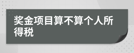 奖金项目算不算个人所得税