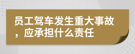 员工驾车发生重大事故，应承担什么责任