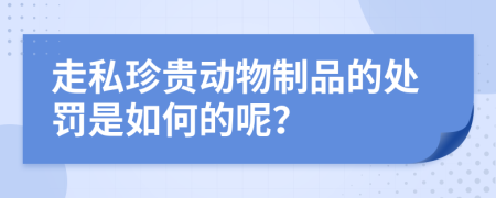 走私珍贵动物制品的处罚是如何的呢？