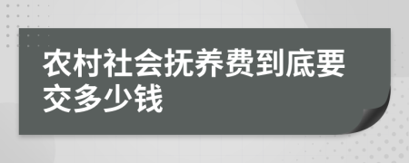 农村社会抚养费到底要交多少钱