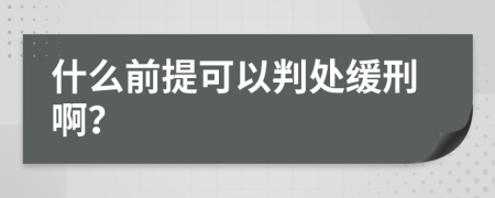 什么前提可以判处缓刑啊？