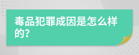 毒品犯罪成因是怎么样的？