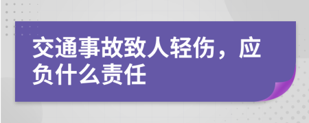 交通事故致人轻伤，应负什么责任