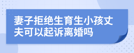 妻子拒绝生育生小孩丈夫可以起诉离婚吗