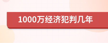 1000万经济犯判几年