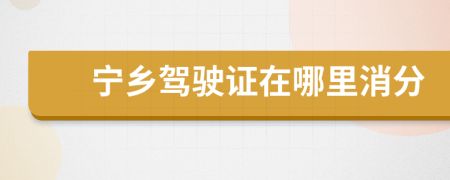 宁乡驾驶证在哪里消分