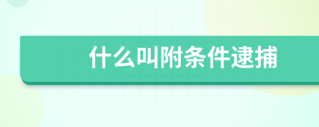 什么叫附条件逮捕