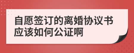 自愿签订的离婚协议书应该如何公证啊