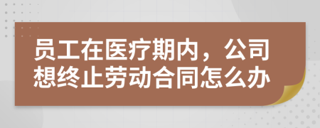 员工在医疗期内，公司想终止劳动合同怎么办