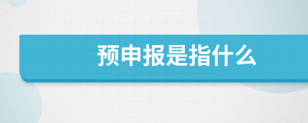 预申报是指什么