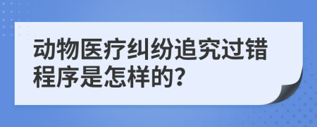 动物医疗纠纷追究过错程序是怎样的？