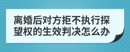离婚后对方拒不执行探望权的生效判决怎么办