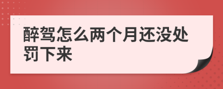 醉驾怎么两个月还没处罚下来