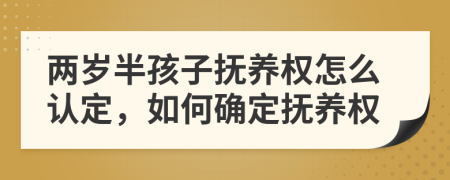 两岁半孩子抚养权怎么认定，如何确定抚养权