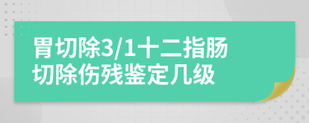 胃切除3/1十二指肠切除伤残鉴定几级