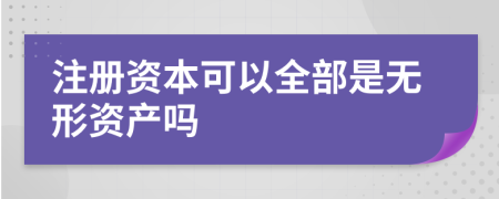 注册资本可以全部是无形资产吗