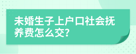 未婚生子上户口社会抚养费怎么交？