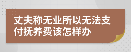 丈夫称无业所以无法支付抚养费该怎样办