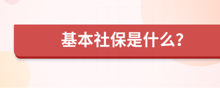 基本社保是什么？