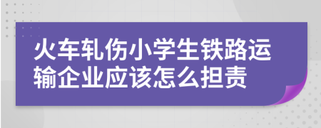 火车轧伤小学生铁路运输企业应该怎么担责