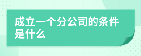 成立一个分公司的条件是什么