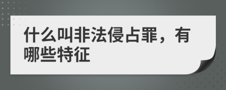 什么叫非法侵占罪，有哪些特征