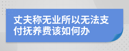 丈夫称无业所以无法支付抚养费该如何办