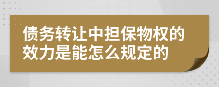 债务转让中担保物权的效力是能怎么规定的