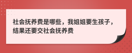 社会抚养费是哪些，我姐姐要生孩子，结果还要交社会抚养费