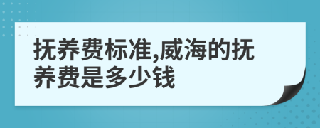 抚养费标准,威海的抚养费是多少钱