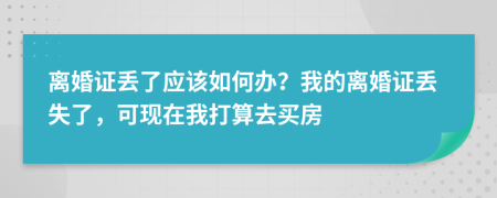 离婚证丢了应该如何办？我的离婚证丢失了，可现在我打算去买房